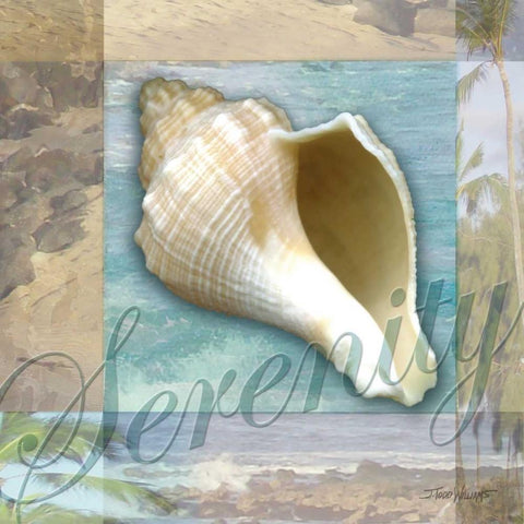 Serenity Shell White Modern Wood Framed Art Print by Williams, Todd