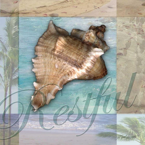 Restful Shell White Modern Wood Framed Art Print by Williams, Todd