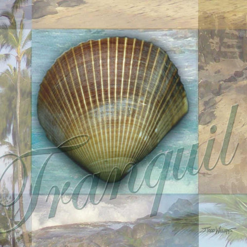 Tranquil Shell White Modern Wood Framed Art Print by Williams, Todd