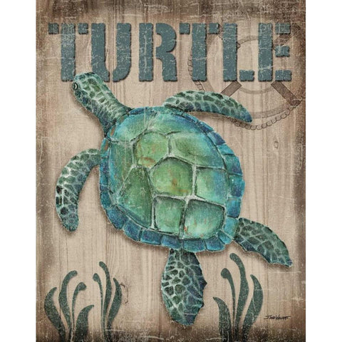 Turtle White Modern Wood Framed Art Print by Williams, Todd