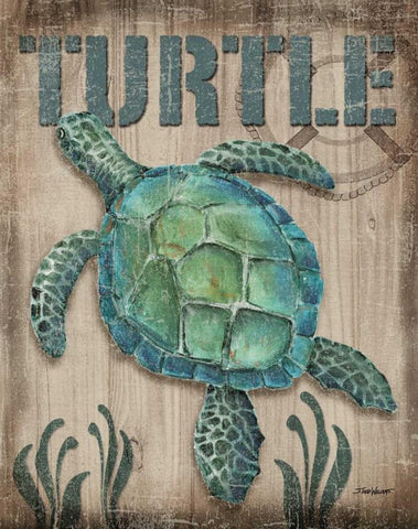 Turtle White Modern Wood Framed Art Print with Double Matting by Williams, Todd