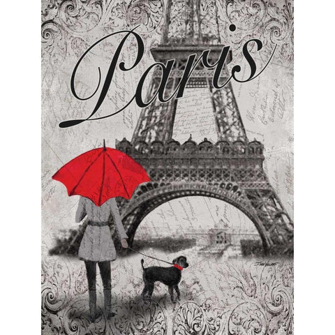 Strolling Paris II Black Modern Wood Framed Art Print with Double Matting by Williams, Todd