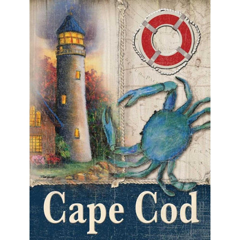 Cape Cod White Modern Wood Framed Art Print by Williams, Todd