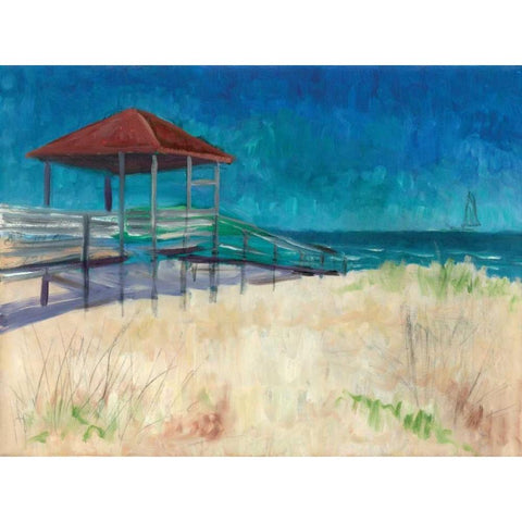 Coastal Black Modern Wood Framed Art Print with Double Matting by Williams, Todd