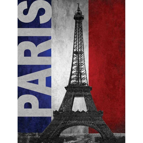 Paris Black Modern Wood Framed Art Print with Double Matting by Williams, Todd