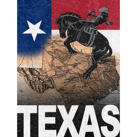 Texas Black Modern Wood Framed Art Print with Double Matting by Williams, Todd
