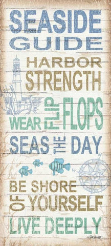 Seaside Guide White Modern Wood Framed Art Print with Double Matting by Williams, Todd