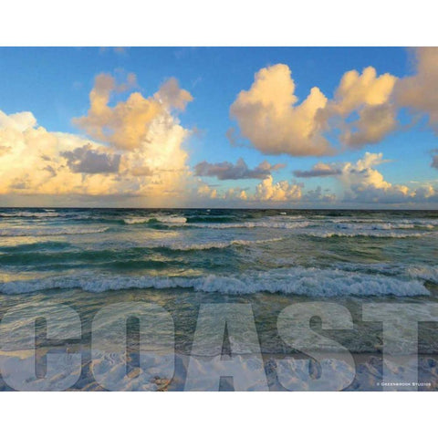 Florida Coast Gold Ornate Wood Framed Art Print with Double Matting by Williams, Todd