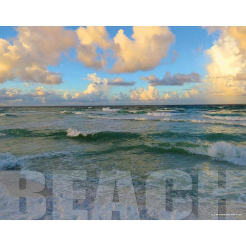 Florida Beach Gold Ornate Wood Framed Art Print with Double Matting by Williams, Todd