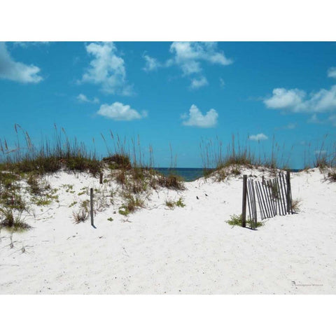 Sand Dunes I Black Modern Wood Framed Art Print by Williams, Todd