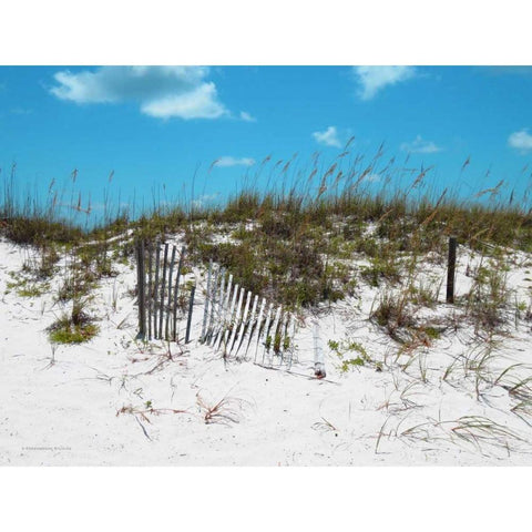 Sand Dunes II Black Modern Wood Framed Art Print with Double Matting by Williams, Todd