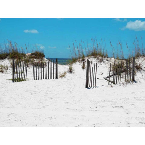 Sand Dunes III Black Modern Wood Framed Art Print with Double Matting by Williams, Todd