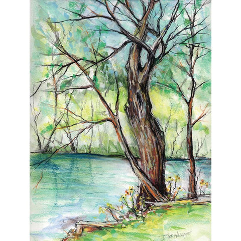 The Banks of Shoal Creek Black Modern Wood Framed Art Print with Double Matting by Williams, Todd