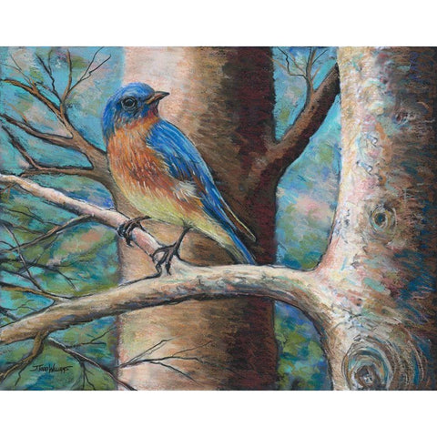 Blue Bird Black Modern Wood Framed Art Print with Double Matting by Williams, Todd