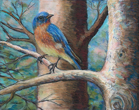 Blue Bird Black Ornate Wood Framed Art Print with Double Matting by Williams, Todd