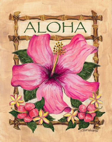 Aloha Hibiscus White Modern Wood Framed Art Print with Double Matting by Williams, Todd