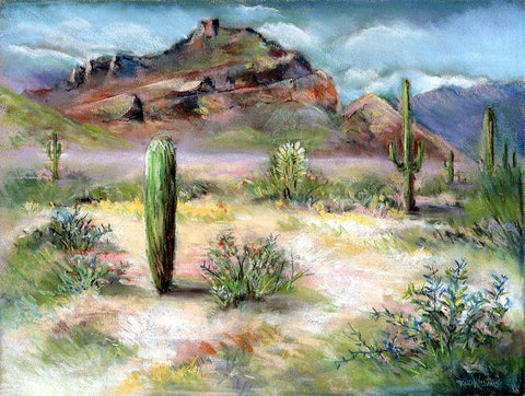 Red Mountain White Modern Wood Framed Art Print with Double Matting by Williams, Todd