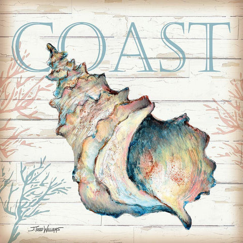 Coast Shell White Modern Wood Framed Art Print with Double Matting by Williams, Todd