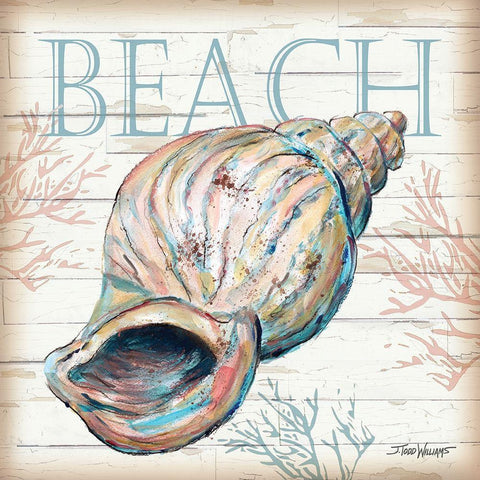 Beach Shell Black Modern Wood Framed Art Print with Double Matting by Williams, Todd