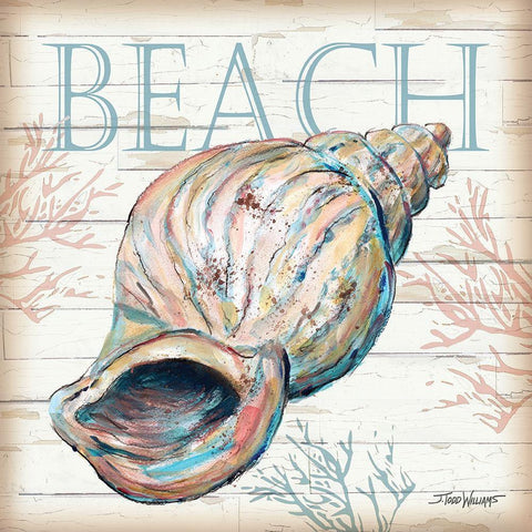 Beach Shell White Modern Wood Framed Art Print with Double Matting by Williams, Todd