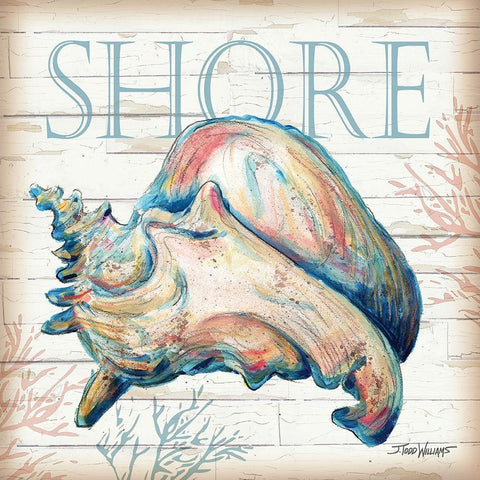 Shore Shell Black Modern Wood Framed Art Print with Double Matting by Williams, Todd