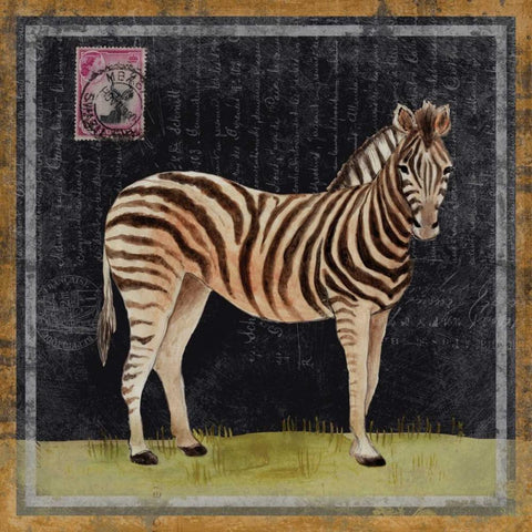 Zebra White Modern Wood Framed Art Print with Double Matting by Ven Vertloh, Lisa