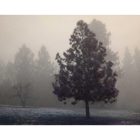 Silent Night White Modern Wood Framed Art Print by Geyman, Vitaly