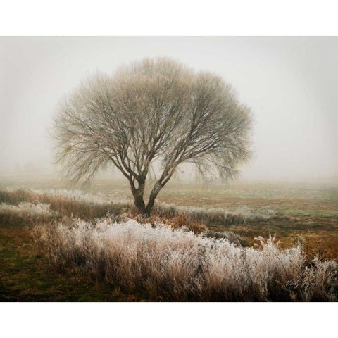 Tranquility I White Modern Wood Framed Art Print by Geyman, Vitaly