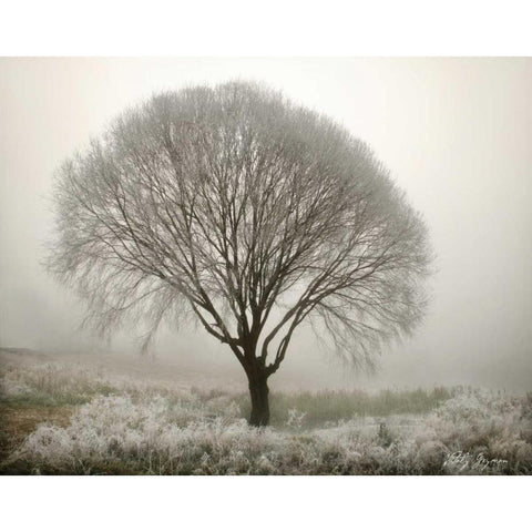 Tranquility II Black Modern Wood Framed Art Print with Double Matting by Geyman, Vitaly