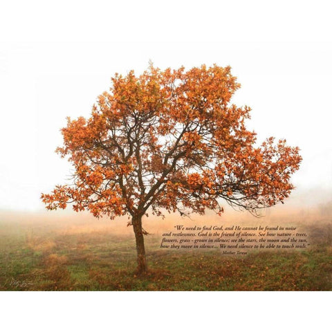 Silent Oak Black Modern Wood Framed Art Print with Double Matting by Geyman, Vitaly