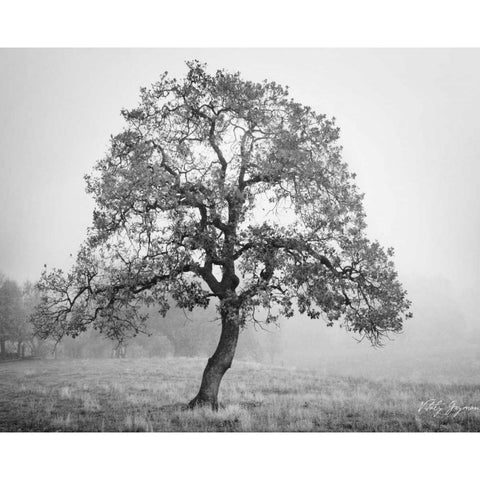 Burning Oak II Black Modern Wood Framed Art Print with Double Matting by Geyman, Vitaly