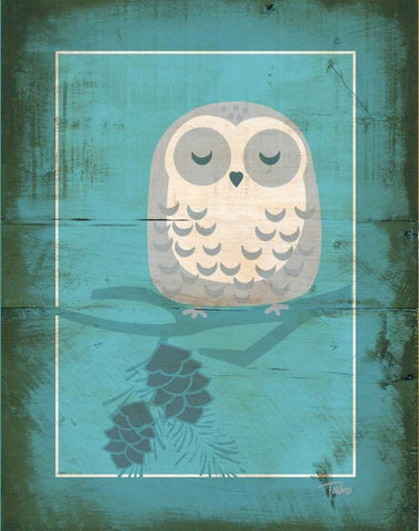 Rustic Woodland Owl White Modern Wood Framed Art Print with Double Matting by Woo, Teresa