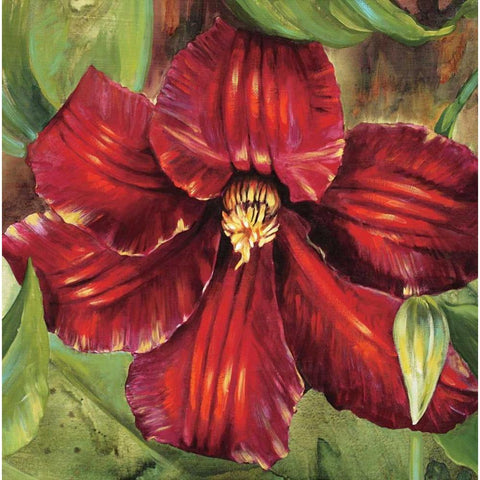 Rosa Odorada Black Modern Wood Framed Art Print by Werbelow, Selina