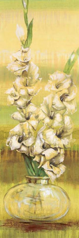 Gladiolas White Modern Wood Framed Art Print with Double Matting by Werbelow, Selina