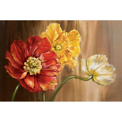 Poppies Black Modern Wood Framed Art Print by Werbelow, Selina