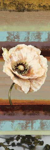 Elemental Poppy II White Modern Wood Framed Art Print with Double Matting by Werbelow, Selina