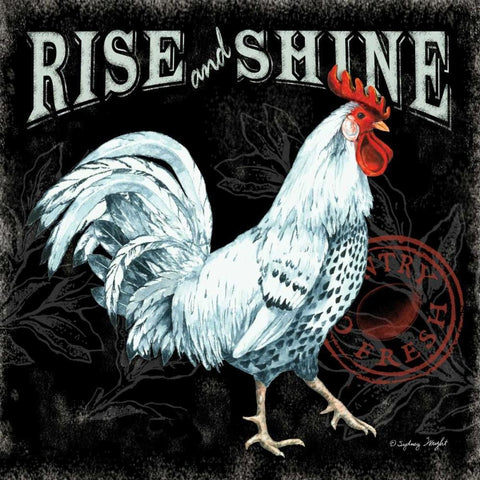 Rise and Shine II White Modern Wood Framed Art Print by Wright, Sydney