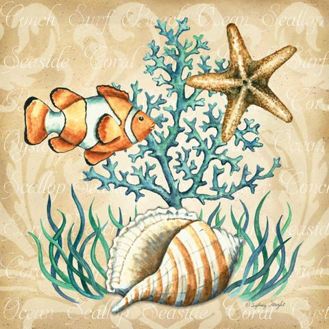 Sea Life III White Modern Wood Framed Art Print by Wright, Sydney