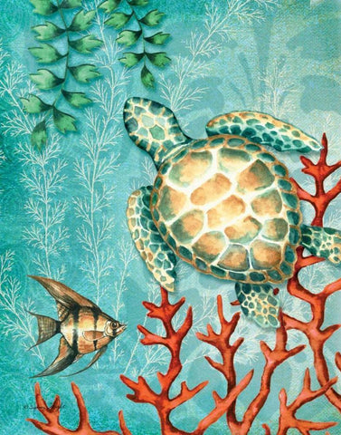 Turtle White Modern Wood Framed Art Print with Double Matting by Wright, Sydney