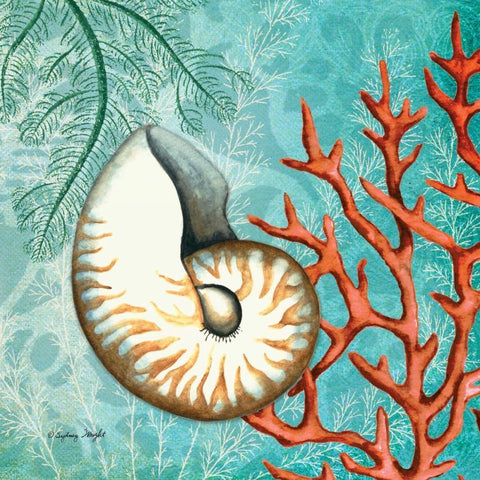 Nautilus White Modern Wood Framed Art Print with Double Matting by Wright, Sydney