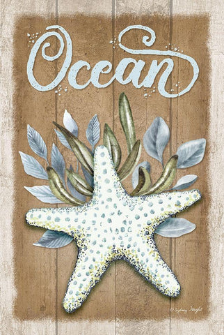 Ocean Starfish White Modern Wood Framed Art Print with Double Matting by Wright, Sydney