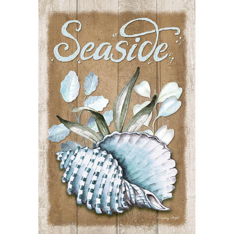 Seaside Conch Black Modern Wood Framed Art Print by Wright, Sydney