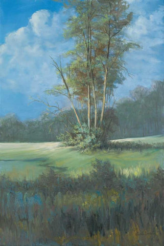 Azure Sky II Black Ornate Wood Framed Art Print with Double Matting by Wacaster, Linda