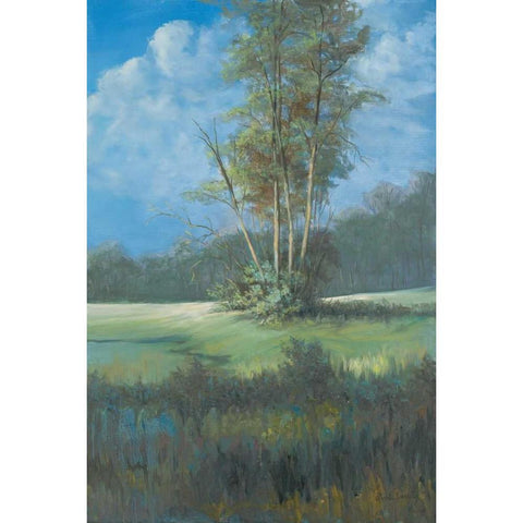 Azure Sky II Gold Ornate Wood Framed Art Print with Double Matting by Wacaster, Linda