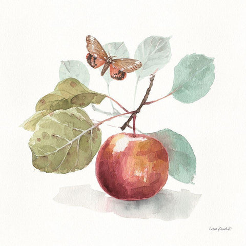 Autumn in Nature 02 on White White Modern Wood Framed Art Print with Double Matting by Audit, Lisa