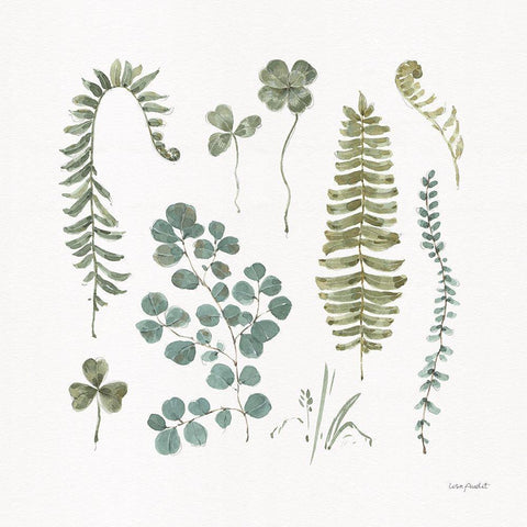 Fern Study 02 White Modern Wood Framed Art Print by Audit, Lisa