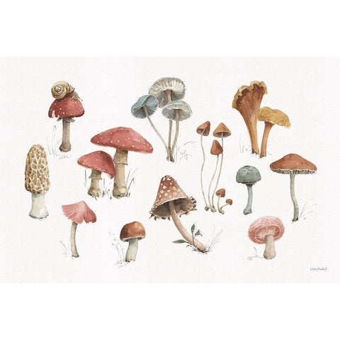 Mushroom Medley 01 White Modern Wood Framed Art Print by Audit, Lisa