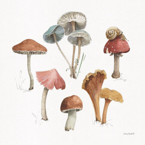 Mushroom Medley 02 White Modern Wood Framed Art Print by Audit, Lisa