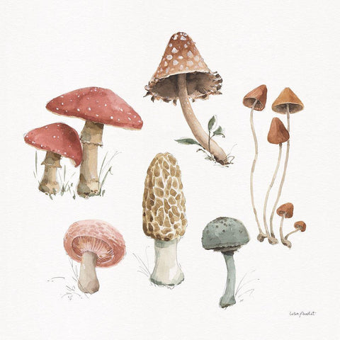 Mushroom Medley 03 White Modern Wood Framed Art Print by Audit, Lisa