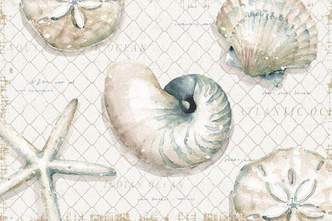 Ocean View I White Modern Wood Framed Art Print with Double Matting by Audit, Lisa